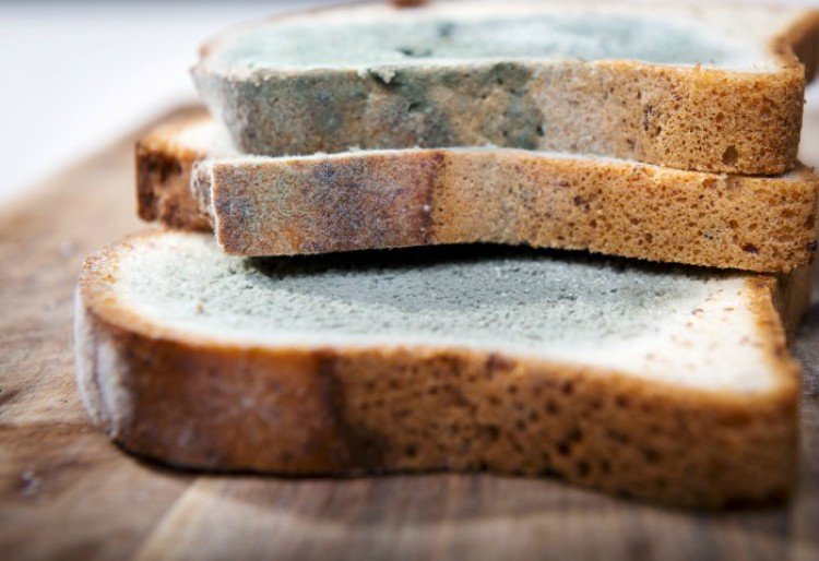 Cut mold off bread