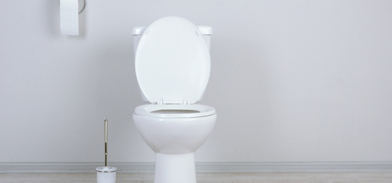 Why you should leave the toilet seat down according to science.