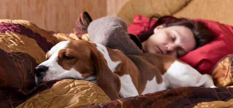 Woman sleeping with her dog on the bed.