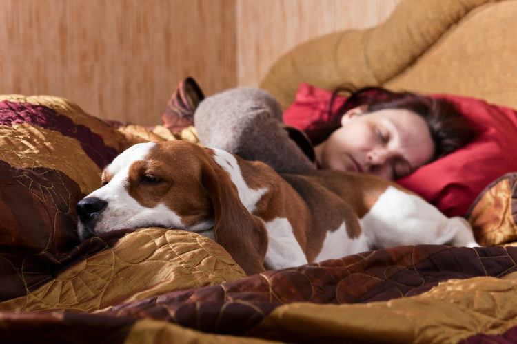Woman sleeping with her dog on the bed.