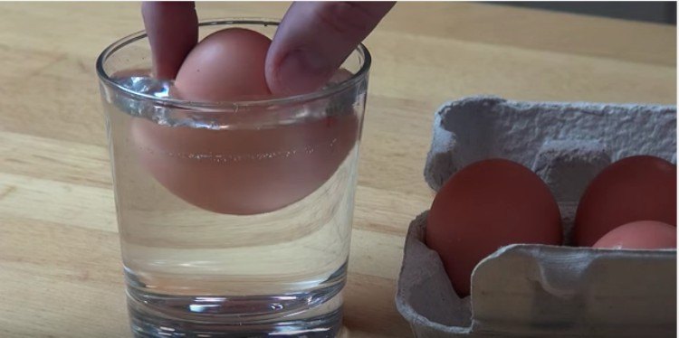 person dropping egg in glass of water