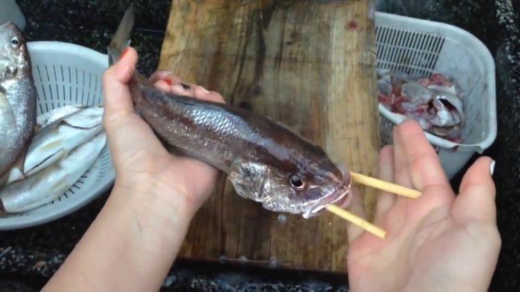 How to Gut a Fish