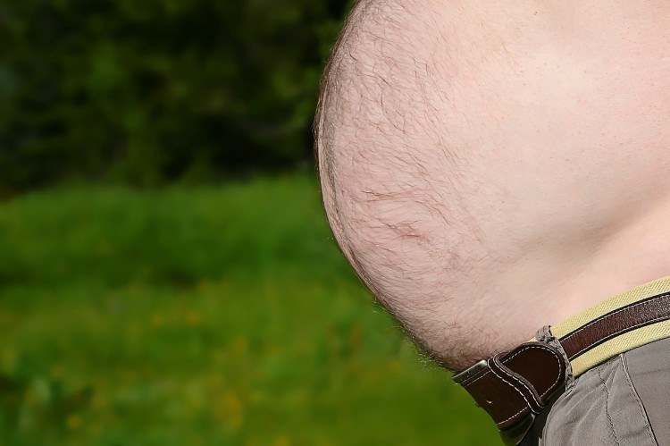 Fat man with a big belly, close-up part of the body. | CanStock