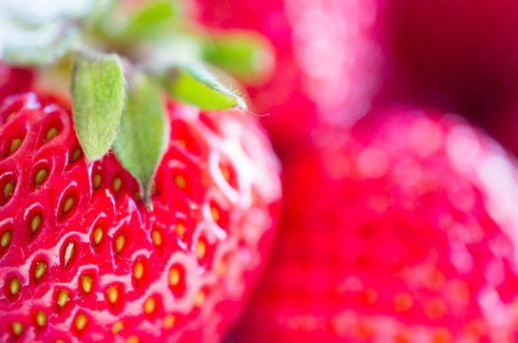 close-up of strawberries