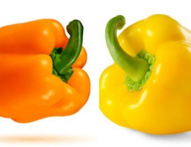 orange and yellow pepper on white background