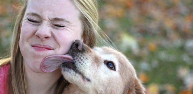 Woman being licked by dog.