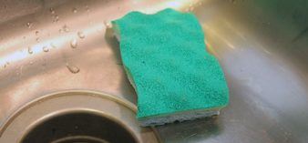 Image of sponge in sink.
