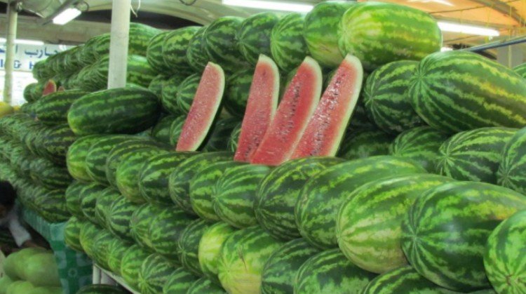 watermeloen lang