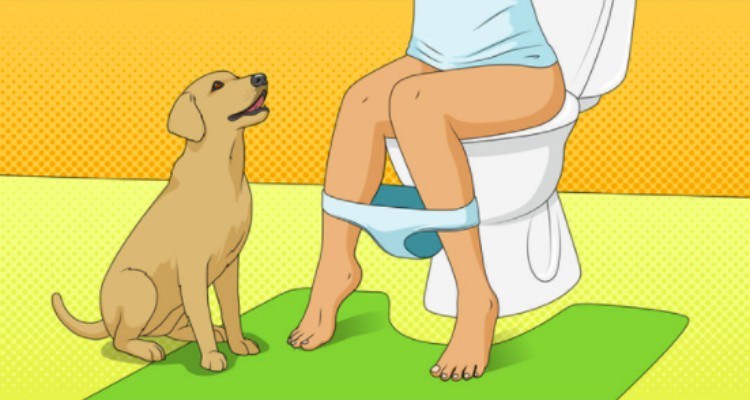 dog watches owner on toilet