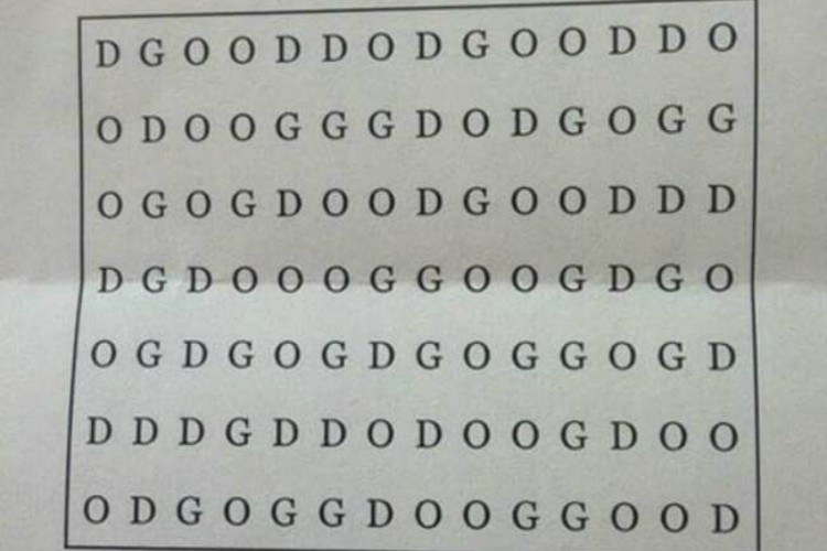 can you solve this crazy difficult word search and find the dog