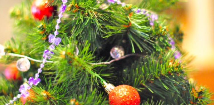 Help Your Christmas Tree To Live Longer