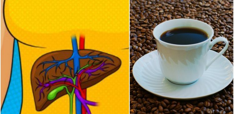 Image of coffee and liver.