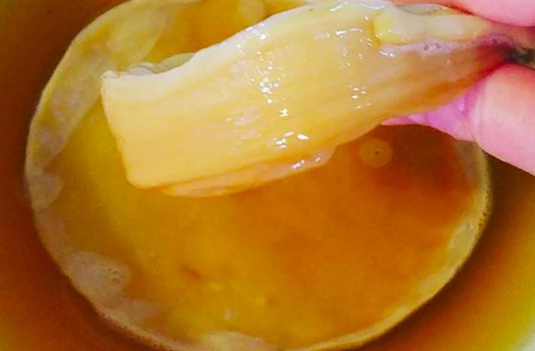 food scoby