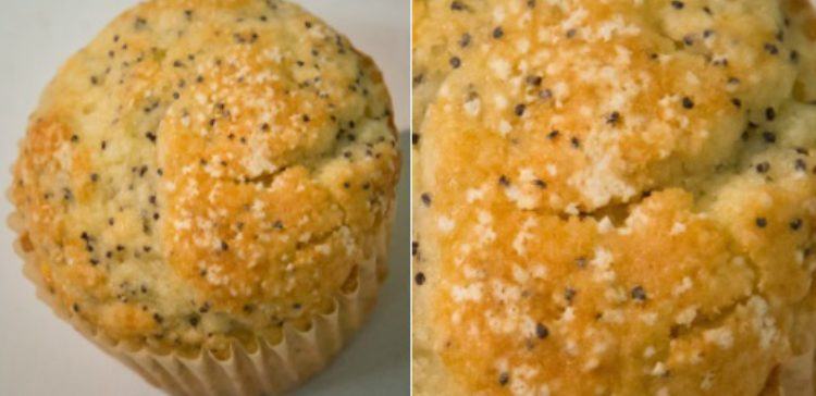 Image of muffins with ticks.