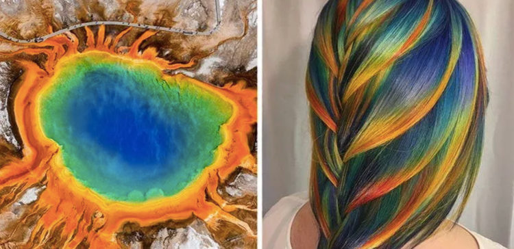 Split image of hair inspired by nature