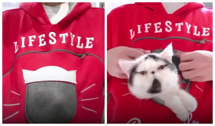 Lifestyle cat pouch sales hoodie