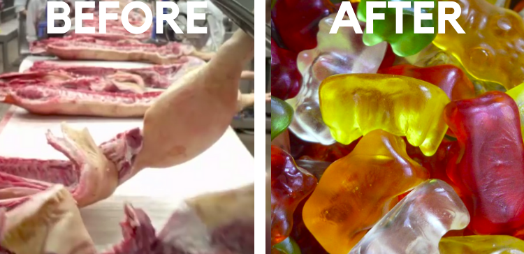 Split image of before and after of how gummy candy is made