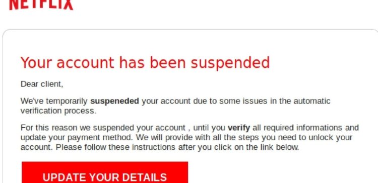 Photo of Netflix phishing message.