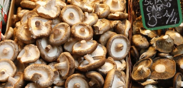 Image of dried mushrooms