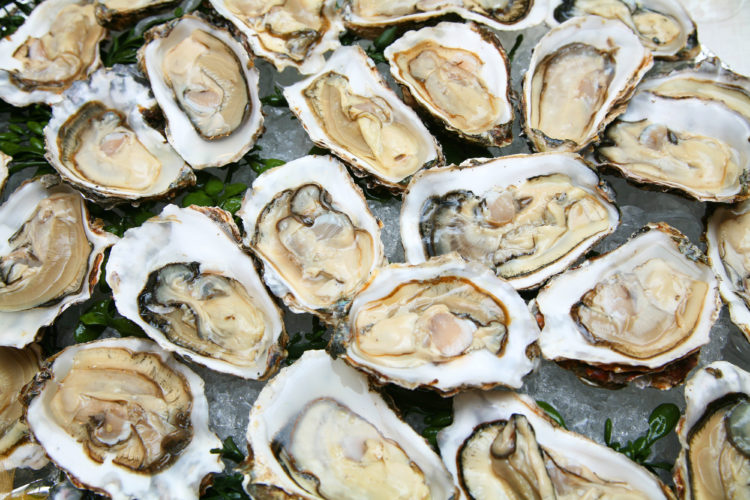 Image of oysters