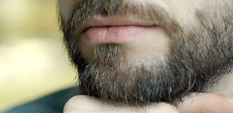 Picture of man's beard.