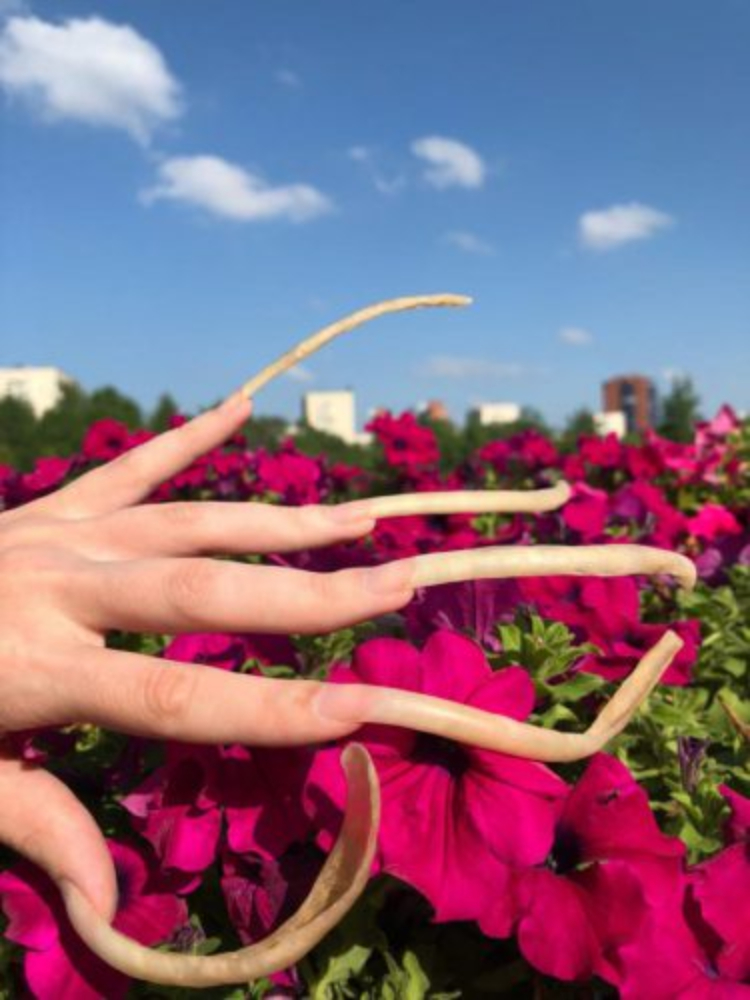 Image of very long nails outside