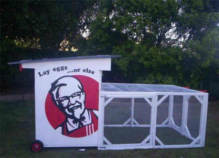 Just 13 Times People Got Creative Really With Their Chicken Coops
